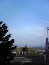 8e20426d.jpg