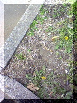 92e27312.jpg