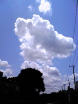 9c57f19d.jpg