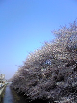 a57c7d0a.jpg