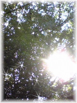 c6cc1d66.jpg