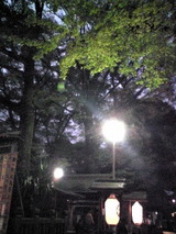 e5620387.jpg