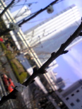 f2a6a69c.jpg