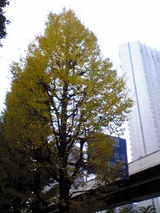 f4352213.jpg
