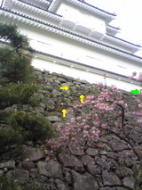 f767e6d3.jpg