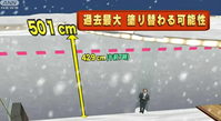 ÂçÀã ÀÄ¿¹¸©»À¥öÅò²¹Àô¤Ç¤Ï´Ñ¬»Ë¾åºÇÂç¤ÎÀÑÀã501cm¤¬ÅɤêÂØ¤ï¤ë²ÄǽÀ¤â