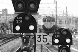 113