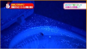 トイレ問題