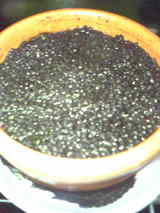 04f37c46.jpg