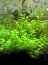 09039f27.jpg