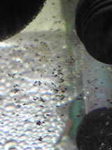 0db79370.jpg