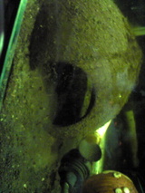 1be9fd04.jpg