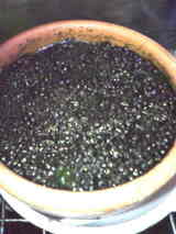 25009866.jpg