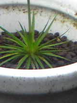 3586ac34.jpg