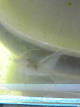 3fb06a71.jpg