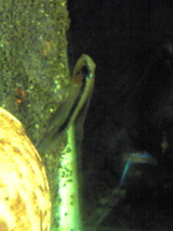 51622a2c.jpg