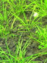 b98858aa.jpg
