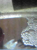 e23254b0.jpg