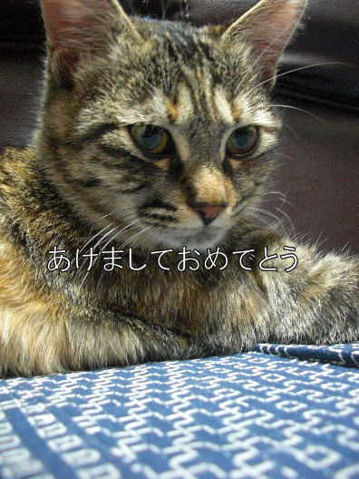 ��ǯ�Τդ������