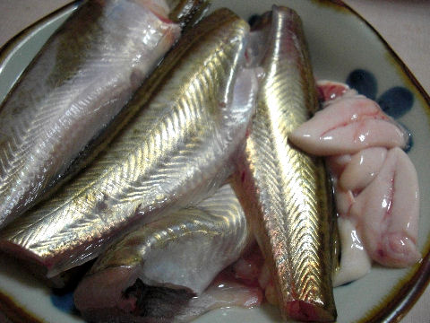 �Ϥ��Ϥ���Ҥ��äפ�