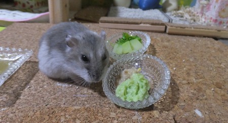 4ずん-1