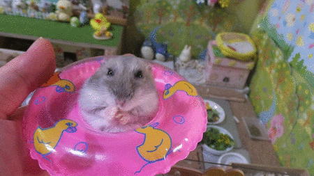 30GIF