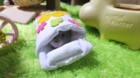 2018.7.20ふと-5