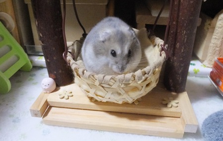 2018.11.7ぶら-4