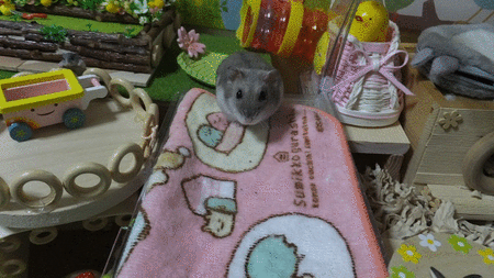 30GIF-3