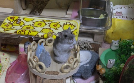 28たち-3