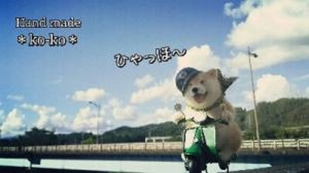 12かわ-2