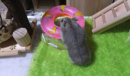 2018.6.23たち-3