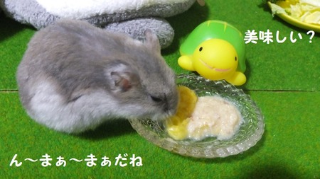 18カメ-2