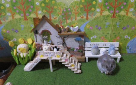 30GIF