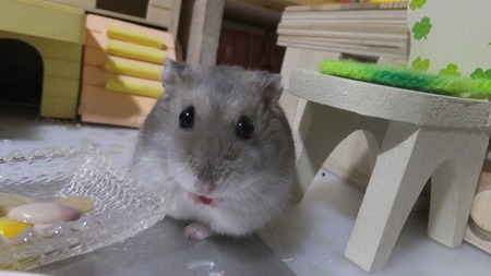 2018.8.25こん-4