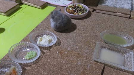 6せ-1