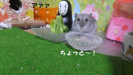27かお-2