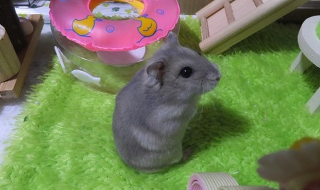 2018.6.23たち-1