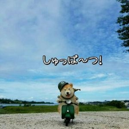 12かわ-1