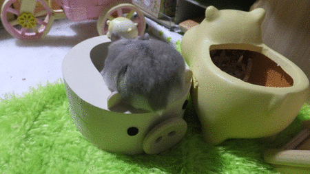 2018.7.30ＧＩＦぷりけつ