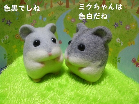 12じゃんぺあ-2