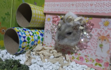 21ぱん-1
