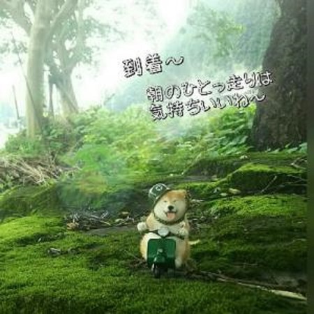 12やま-5