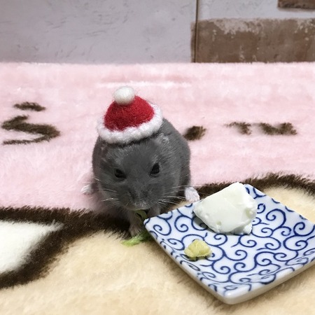 2018.11.18れい-1