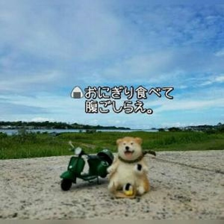 12かわ-4