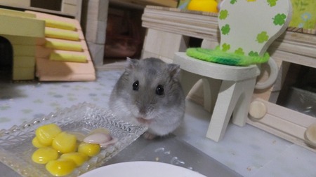 2018.8.25こん-1