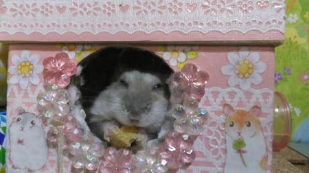 21ぱん-3