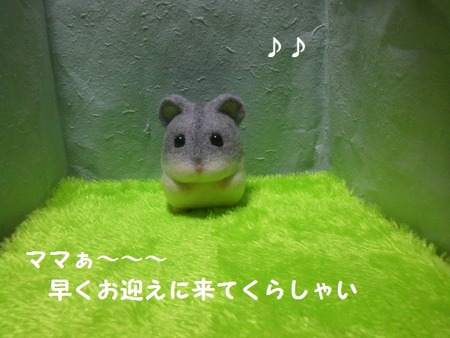 12じゃん-14