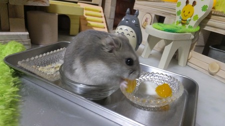 2018.9.20よ-2