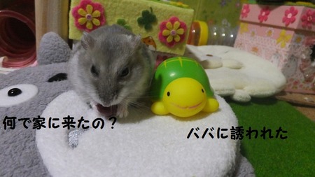コント-3